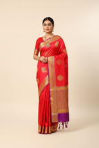 Model wearing red Banarasi saree with purple gold border